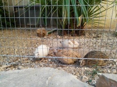 20160727071113.jpg (166.8 KiB) Osservato 943 volte 20160727071113.jpg