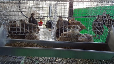 20160826_113415.jpg (138.5 KiB) Osservato 713 volte 20160826_113415.jpg