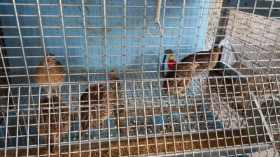 20160826_113425.jpg (136.52 KiB) Osservato 713 volte 20160826_113425.jpg