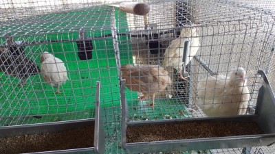 20160826_113410.jpg (144.73 KiB) Osservato 709 volte 20160826_113410.jpg