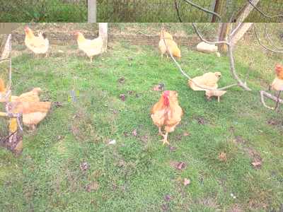 2.jpg (186.45 KiB) Osservato 1031 volte 2.jpg