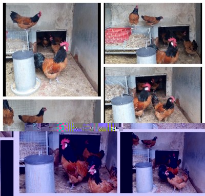 capture1-16-2017_30950_PM.jpeg (105.93 KiB) Osservato 698 volte capture1-16-2017_30950_PM.jpeg