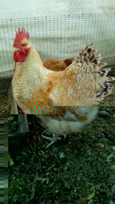 IMG_20170314_174537.jpg (107.94 KiB) Osservato 1246 volte IMG_20170314_174537.jpg