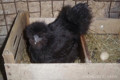 image.jpg (108.54 KiB) Osservato 1035 volte image.jpg