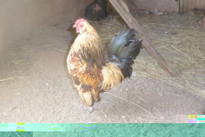 image.jpg (99.86 KiB) Osservato 1033 volte image.jpg