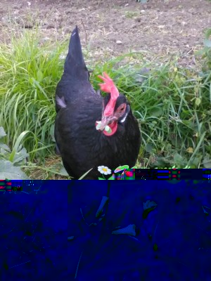 valdarno3-of.jpg (150.12 KiB) Osservato 981 volte valdarno3-of.jpg