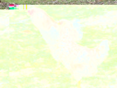 P1080118 (FILEminimizer).JPG (161.53 KiB) Osservato 923 volte P1080118 (FILEminimizer).JPG