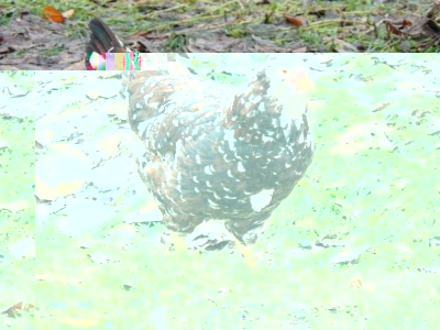 P1080140 (FILEminimizer).JPG (152.72 KiB) Osservato 923 volte P1080140 (FILEminimizer).JPG