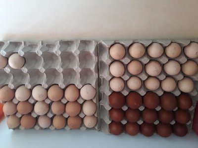 20190410_121410.jpg (57.78 KiB) Osservato 919 volte 20190410_121410.jpg