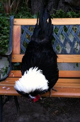 image.jpg (100.35 KiB) Osservato 2284 volte image.jpg