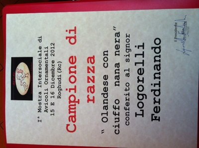 image.jpg (103.41 KiB) Osservato 2284 volte image.jpg