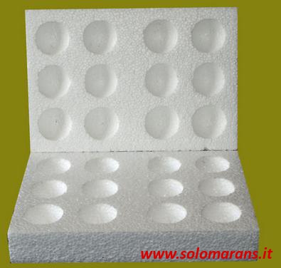 12 uova1.jpg 12 uova1.jpg