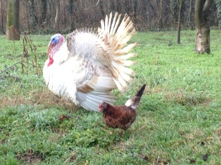 t9w5lg.jpg t9w5lg.jpg