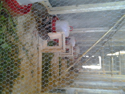 20130405_112127.jpg (155.16 KiB) Osservato 856 volte 20130405_112127.jpg