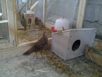 20130423_133421.jpg (122.08 KiB) Osservato 791 volte 20130423_133421.jpg