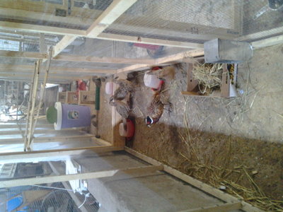 20130423_133208.jpg (139.85 KiB) Osservato 608 volte 20130423_133208.jpg