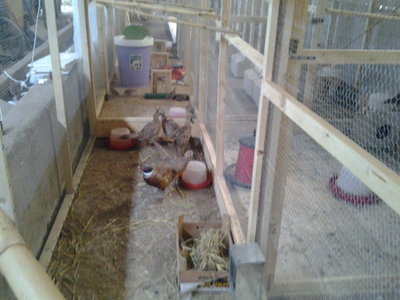 20130423_133203.jpg (129.66 KiB) Osservato 608 volte 20130423_133203.jpg