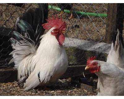 cc78c0ebba0ab84e947f5fd19585dabd_big.jpg cc78c0ebba0ab84e947f5fd19585dabd_big.jpg