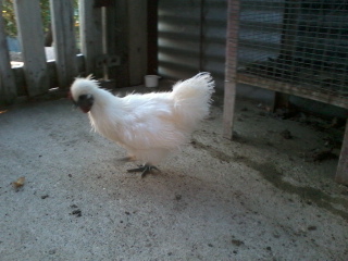 Foto0642.jpg Foto0642.jpg