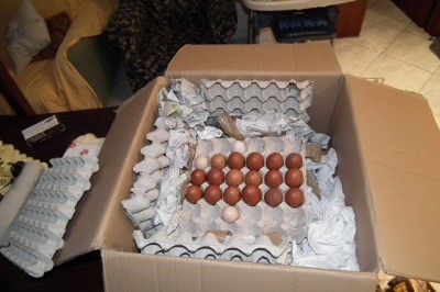 uova 003.JPG (139.77 KiB) Osservato 896 volte uova 003.JPG