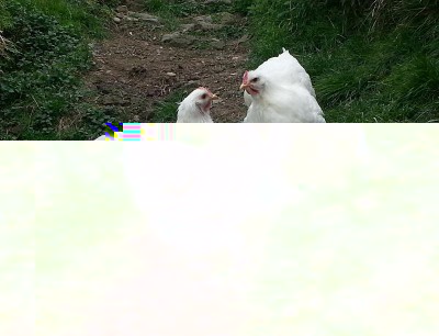 1.4.JPG (143.2 KiB) Osservato 702 volte 1.4.JPG