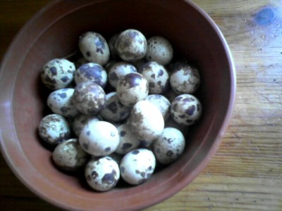 IMG_20140531_161351.jpg (72.22 KiB) Osservato 658 volte IMG_20140531_161351.jpg