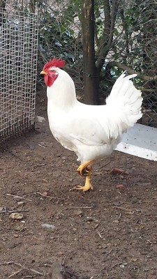 file-3.jpeg file-3.jpeg