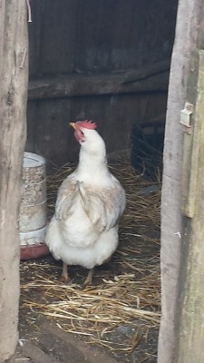 file-2.jpeg file-2.jpeg