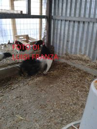 182479371922682.jpg 182479371922682.jpg