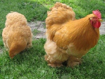 image.jpg (122.24 KiB) Osservato 1072 volte image.jpg