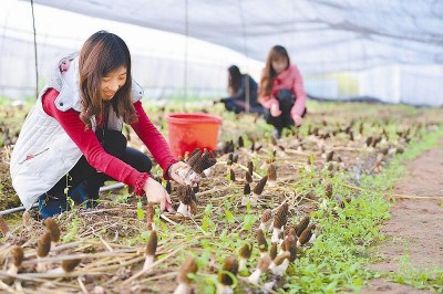 IMG_6609.JPG (162.79 KiB) Osservato 11453 volte IMG_6609.JPG