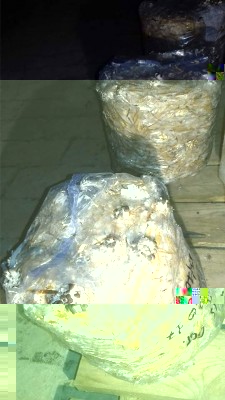 23621617_1507906645965696_7281942841302234534_n.jpg (71.59 KiB) Osservato 4116 volte 23621617_1507906645965696_7281942841302234534_n.jpg