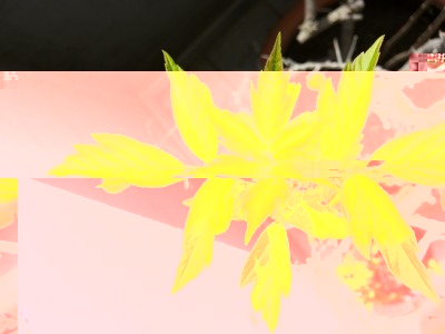 20150411_133445.jpg (121.57 KiB) Osservato 484 volte 20150411_133445.jpg