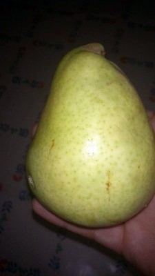 pera1.jpg (77.65 KiB) Osservato 815 volte pera1.jpg