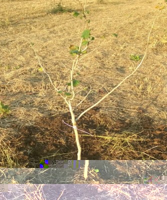 NewImage_667_800_90.jpg (258.54 KiB) Osservato 653 volte NewImage_667_800_90.jpg