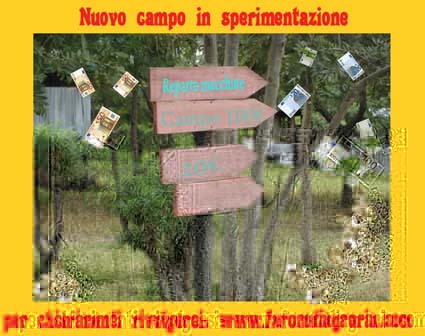 campo  in sperimentazione.jpg campo  in sperimentazione.jpg