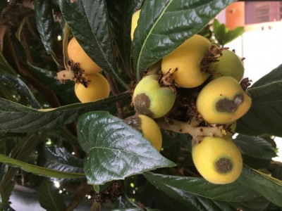 image.jpeg (94.13 KiB) Osservato 1057 volte image.jpeg