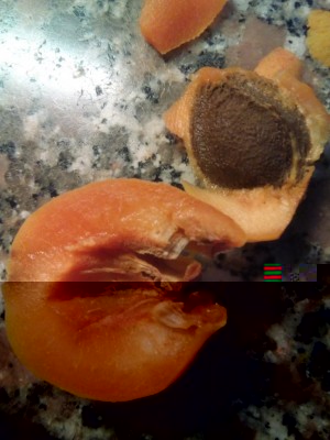 IMG_20160718_184029.jpg (83.55 KiB) Osservato 998 volte IMG_20160718_184029.jpg