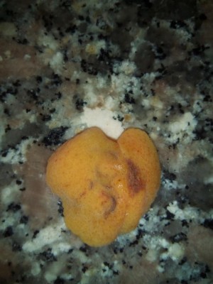 IMG_20160718_184005.jpg (73.16 KiB) Osservato 998 volte IMG_20160718_184005.jpg