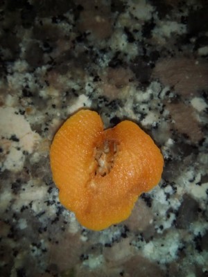 IMG_20160718_183954.jpg (75.45 KiB) Osservato 998 volte IMG_20160718_183954.jpg