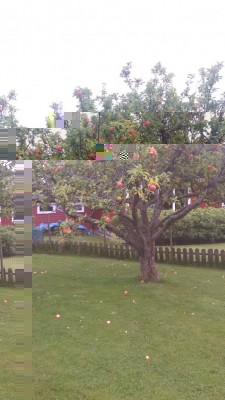 Pianta 1 / Pianta 1 20160820_163601.jpg Pianta 1 20160820_163601.jpg