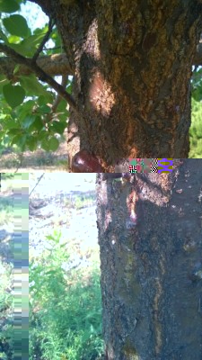 WP_20160910_006.jpg (101.56 KiB) Osservato 1097 volte WP_20160910_006.jpg