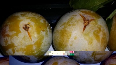 02 (2).jpg (62.47 KiB) Osservato 809 volte 02 (2).jpg