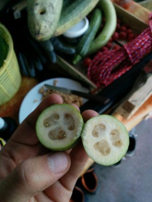 IMG_20161031_165021.jpg (66.23 KiB) Osservato 1135 volte IMG_20161031_165021.jpg