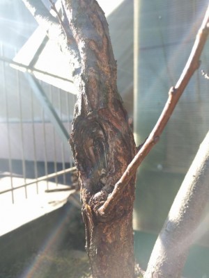 dd96083b-a365-44ad-91db-e4d7b2468867.jpg (71.21 KiB) Osservato 1244 volte dd96083b-a365-44ad-91db-e4d7b2468867.jpg