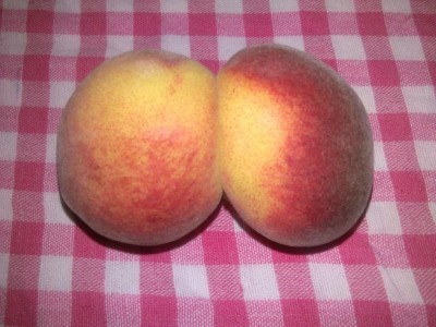 IMG_20170529_081024.jpg (111.77 KiB) Osservato 4771 volte IMG_20170529_081024.jpg