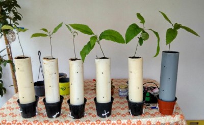 IMG_20170615_164614_HDR_1497544980332.jpg (72.07 KiB) Osservato 831 volte IMG_20170615_164614_HDR_1497544980332.jpg