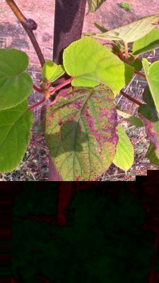 WP_20170722_18_07_57_Pro.jpg (131.43 KiB) Osservato 1812 volte WP_20170722_18_07_57_Pro.jpg