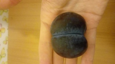 20170806_190411.jpg (33.95 KiB) Osservato 1030 volte 20170806_190411.jpg