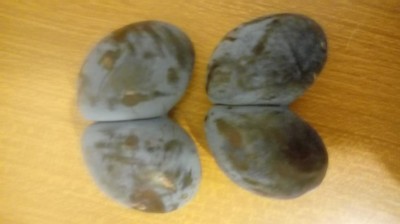 20170806_191939.jpg (37 KiB) Osservato 1026 volte 20170806_191939.jpg